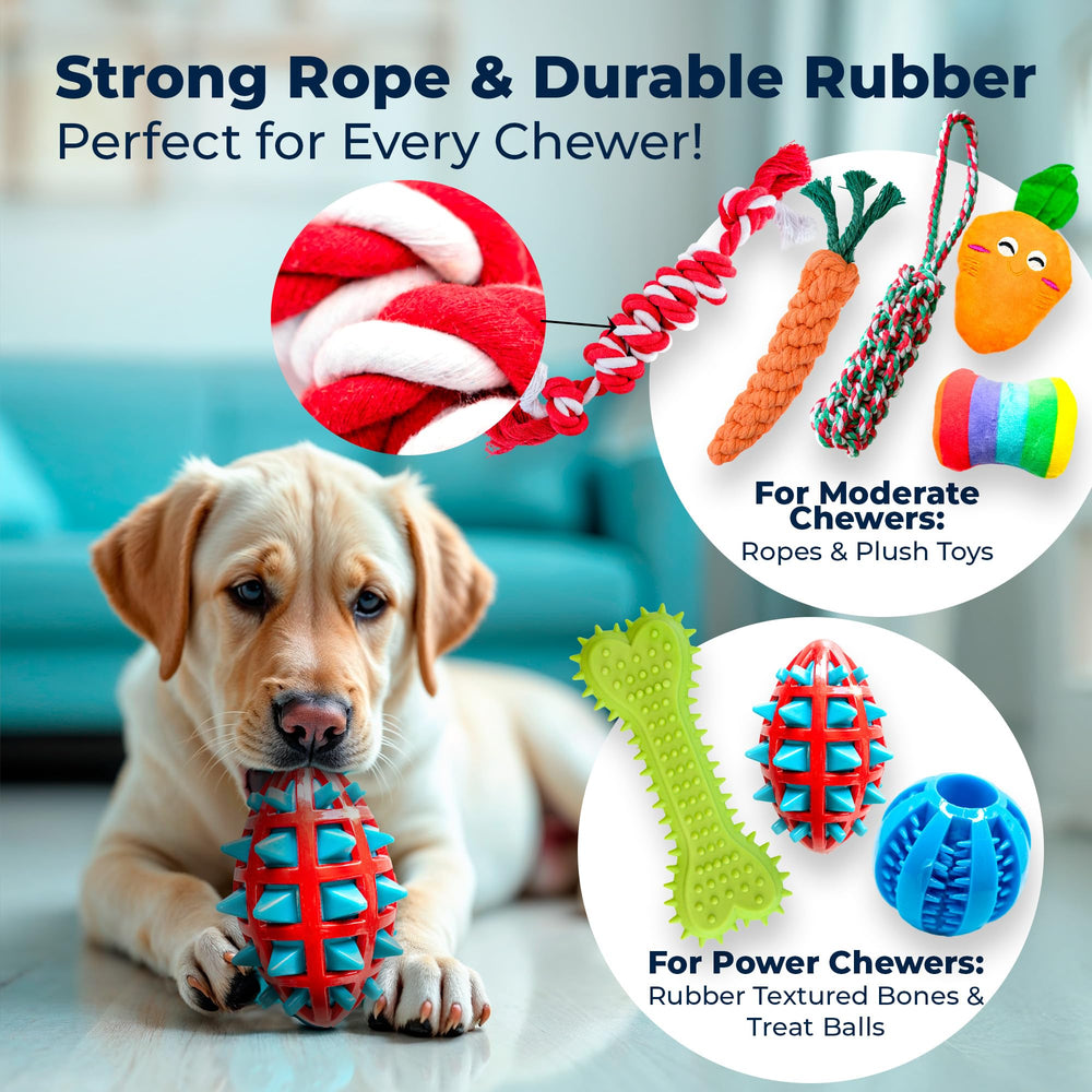Pacific Pups peluches siffantes pour chien – stimulation auditive et tactile lors des jeux.