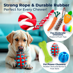 Pacific Pups peluches siffantes pour chien – stimulation auditive et tactile lors des jeux.