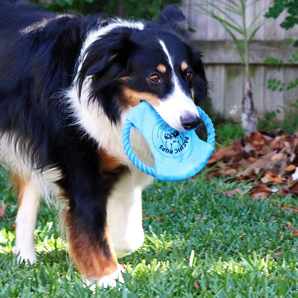 Pacific Pups Products – jouet interactif anti anxiété, parfait pour les chiens seuls à la maison.