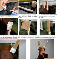 Pacify éponges souples Doberman: douceur et ajustement confortable des oreilles.