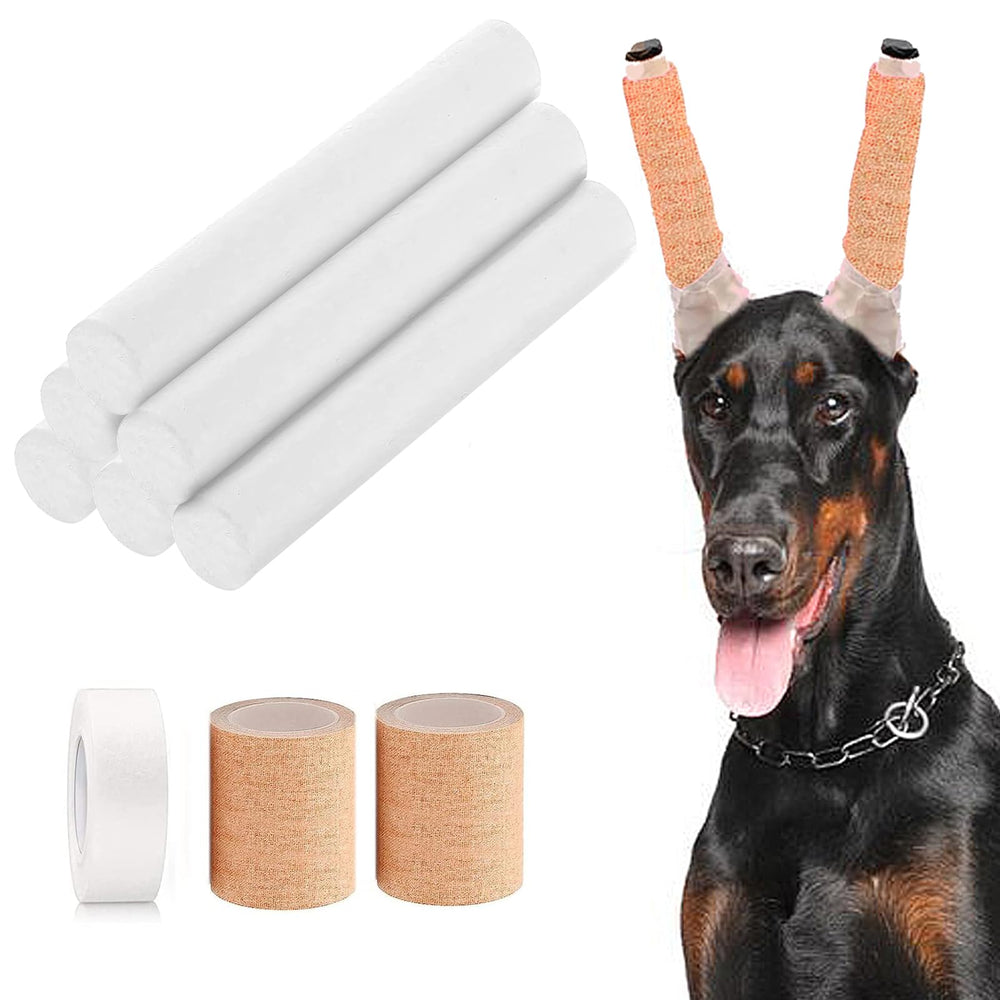 Pacify kit poser oreilles Doberman, démonstration de mise en place simple et contrôlée.