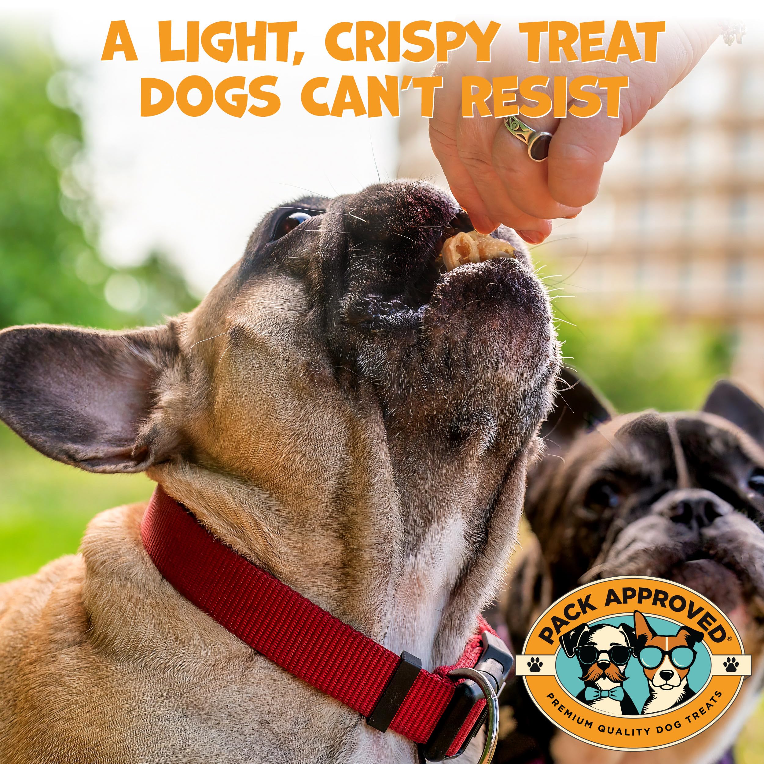 Pack Approved panse-agneau-deshydratee-ensemble: source de protéines pour soutenir l'énergie du chien.