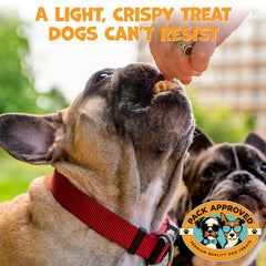 Pack Approved panse-agneau-deshydratee-ensemble: source de protéines pour soutenir l'énergie du chien.