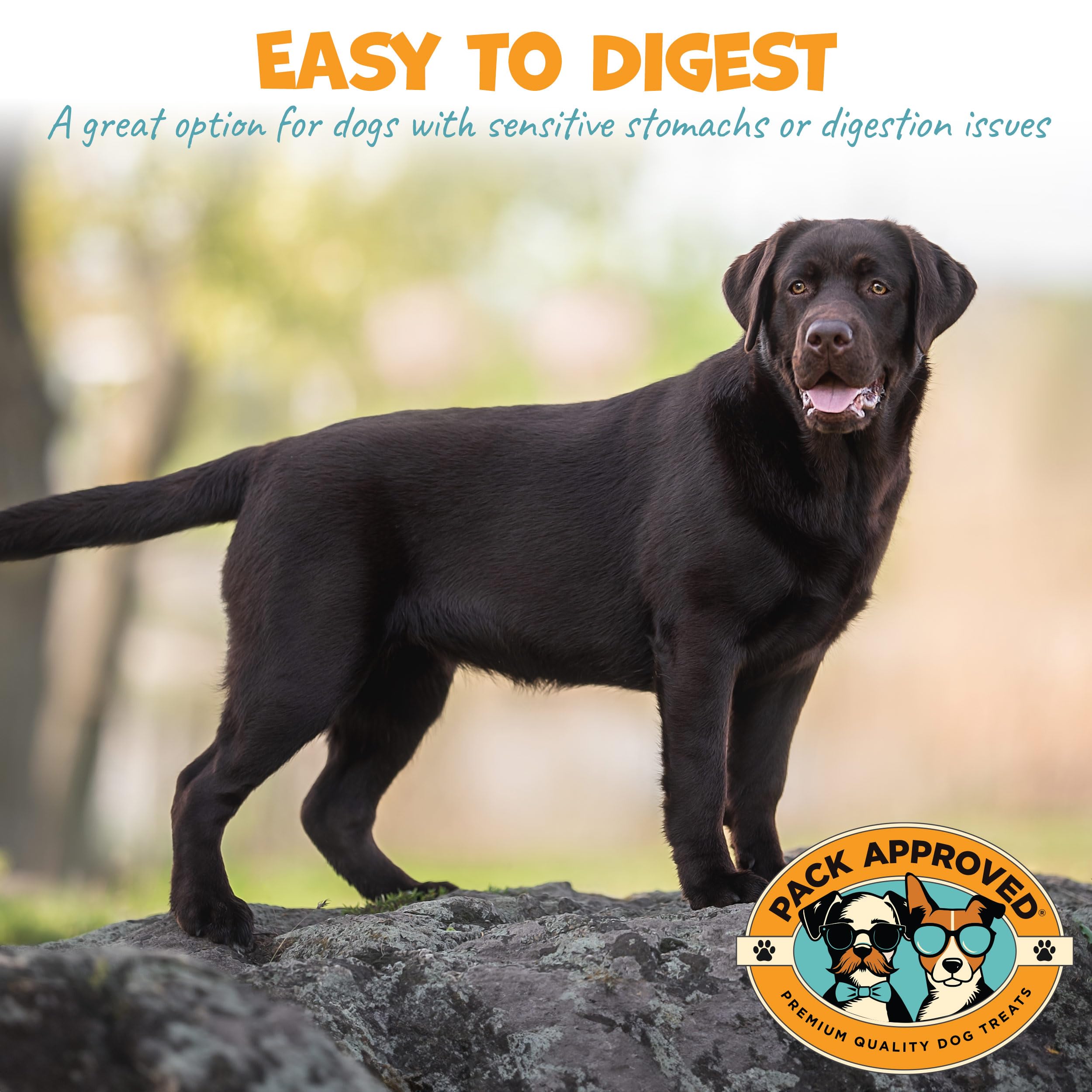 Pack Approved panse-agneau-deshydratee-ensemble: probiotiques naturels pour la digestion et l'équilibre intestinal.
