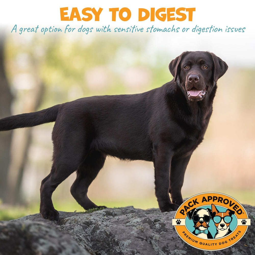 Pack Approved panse-agneau-deshydratee-ensemble: probiotiques naturels pour la digestion et l'équilibre intestinal.