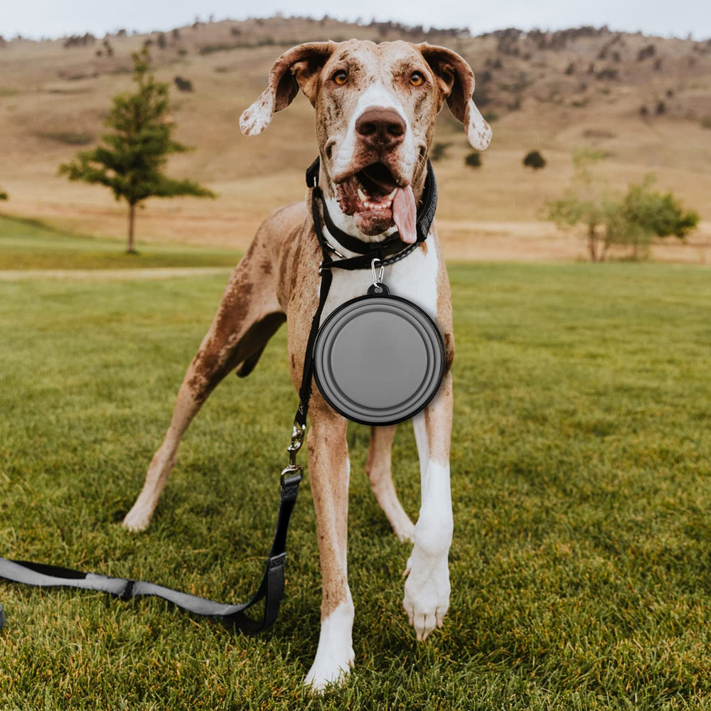 Paercute en voyage: bol pour chien prêt à l’emploi.