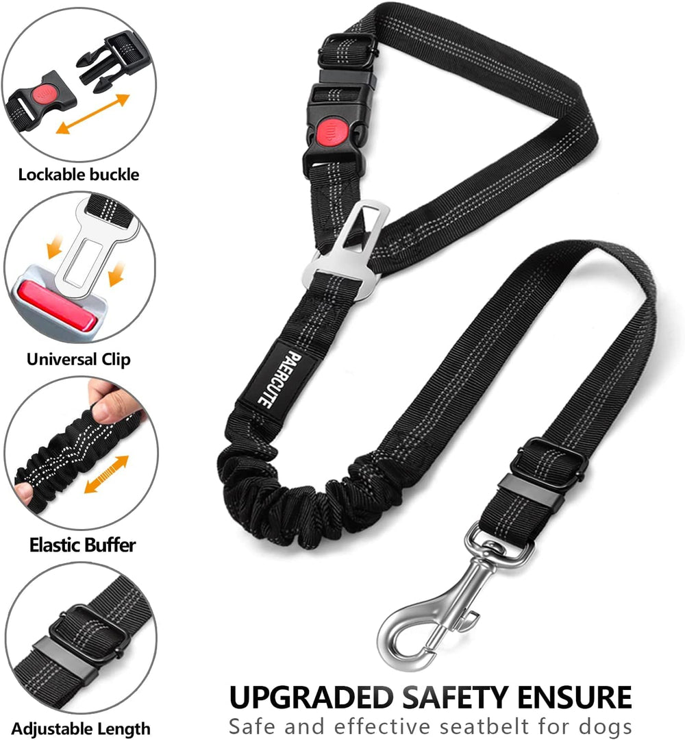 Paercute – mousqueton rotatif 360° pour connexion fluide en trajet.