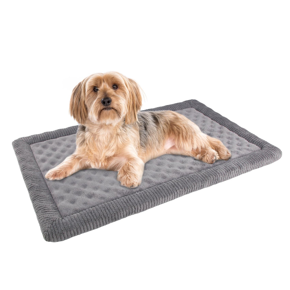 PAGGED coussin caisse chien 24x17 gris, idéal pour petit chien ou chat dans une cage.