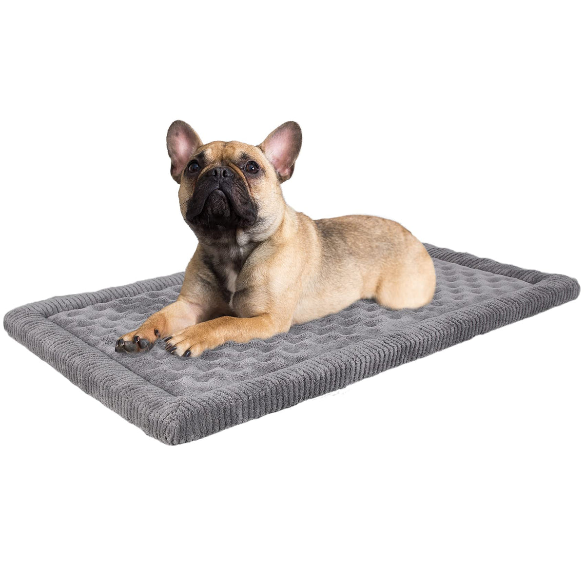 Coussin PAGGED pour cage chien 30x19 en mousse mémoire, confort orthopédique.