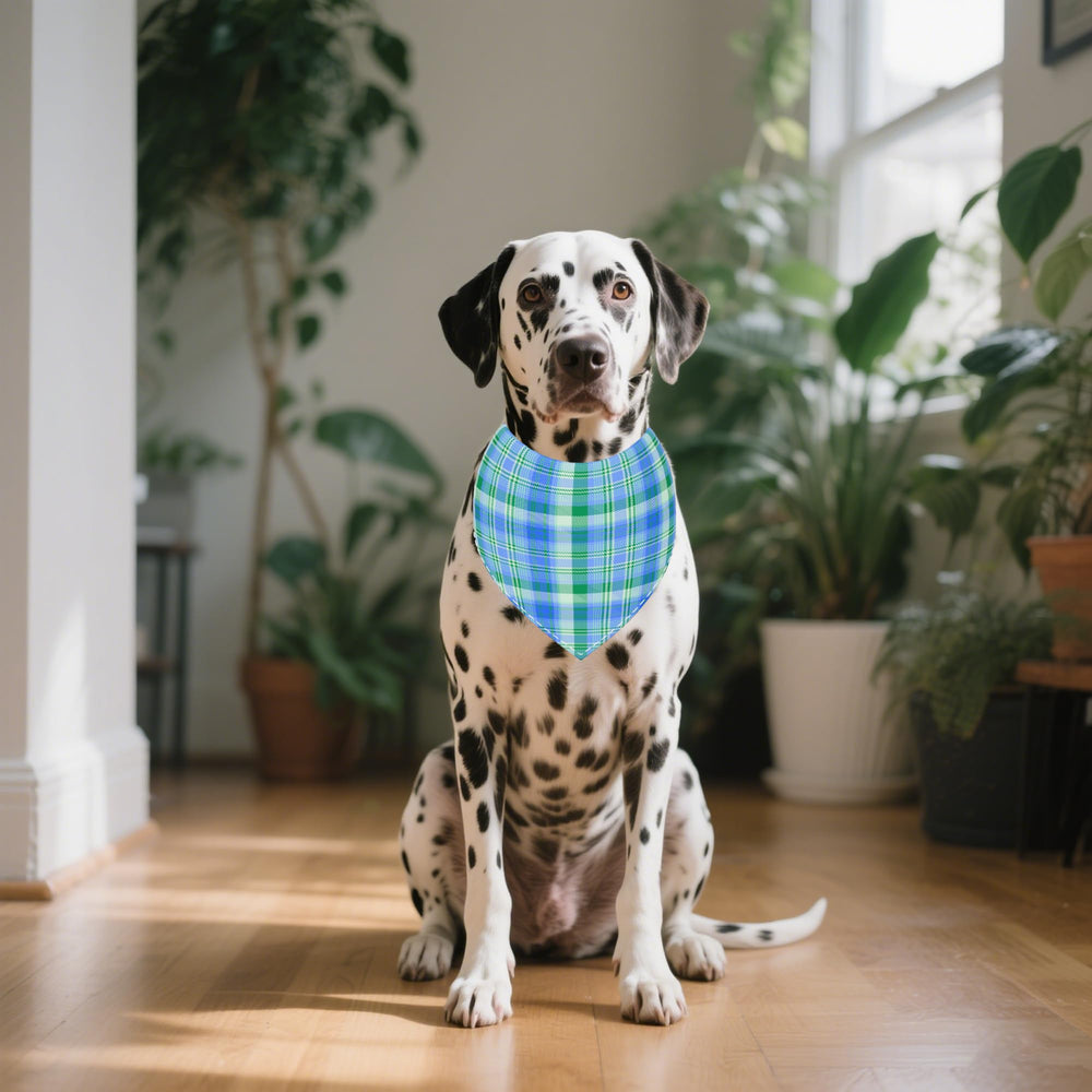 Bandana Pai Sence pour fêtes et séances photos canines.