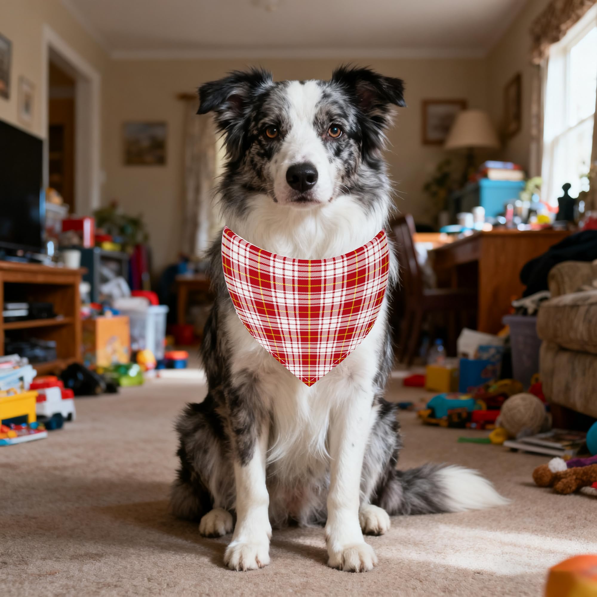 Bandana Pai Sence accessoire de toilettage, idéal pour sorties et dressage.