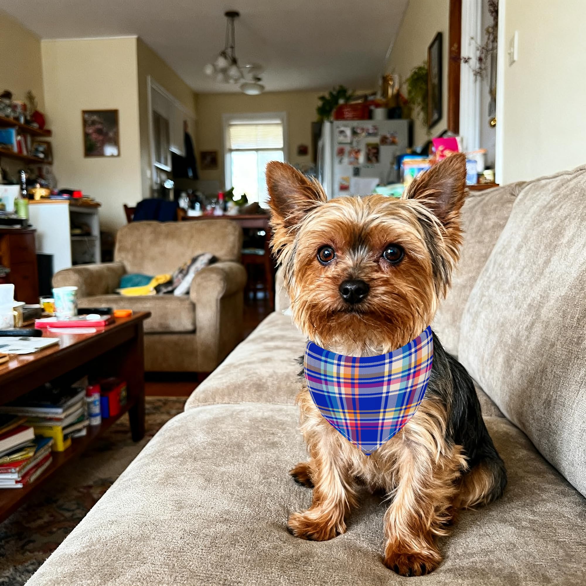 Bandana Pai Sence motifs carreaux multiples, pratique pour styles variés.