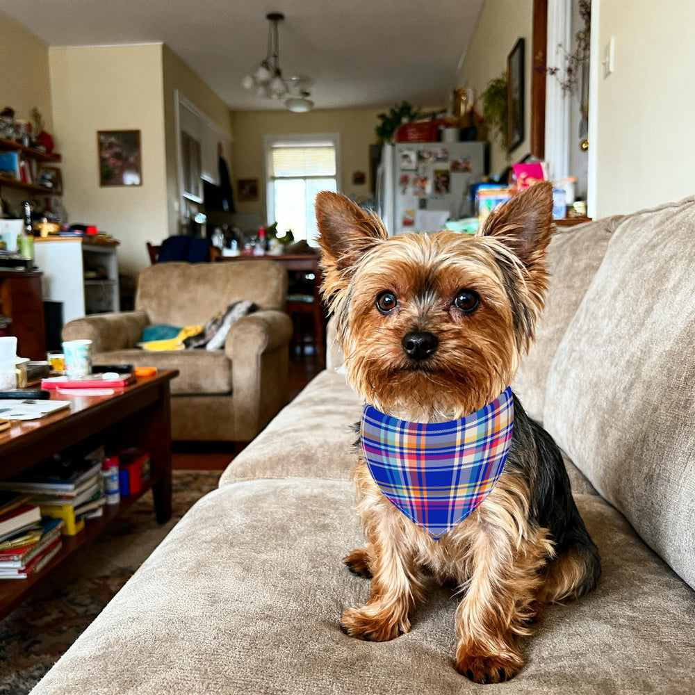 Bandana Pai Sence motifs carreaux multiples, pratique pour styles variés.