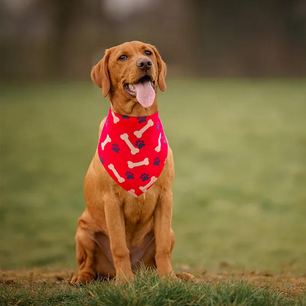 Bandana Pai Sence en lot, accessoire festif idéal pour votre chien.