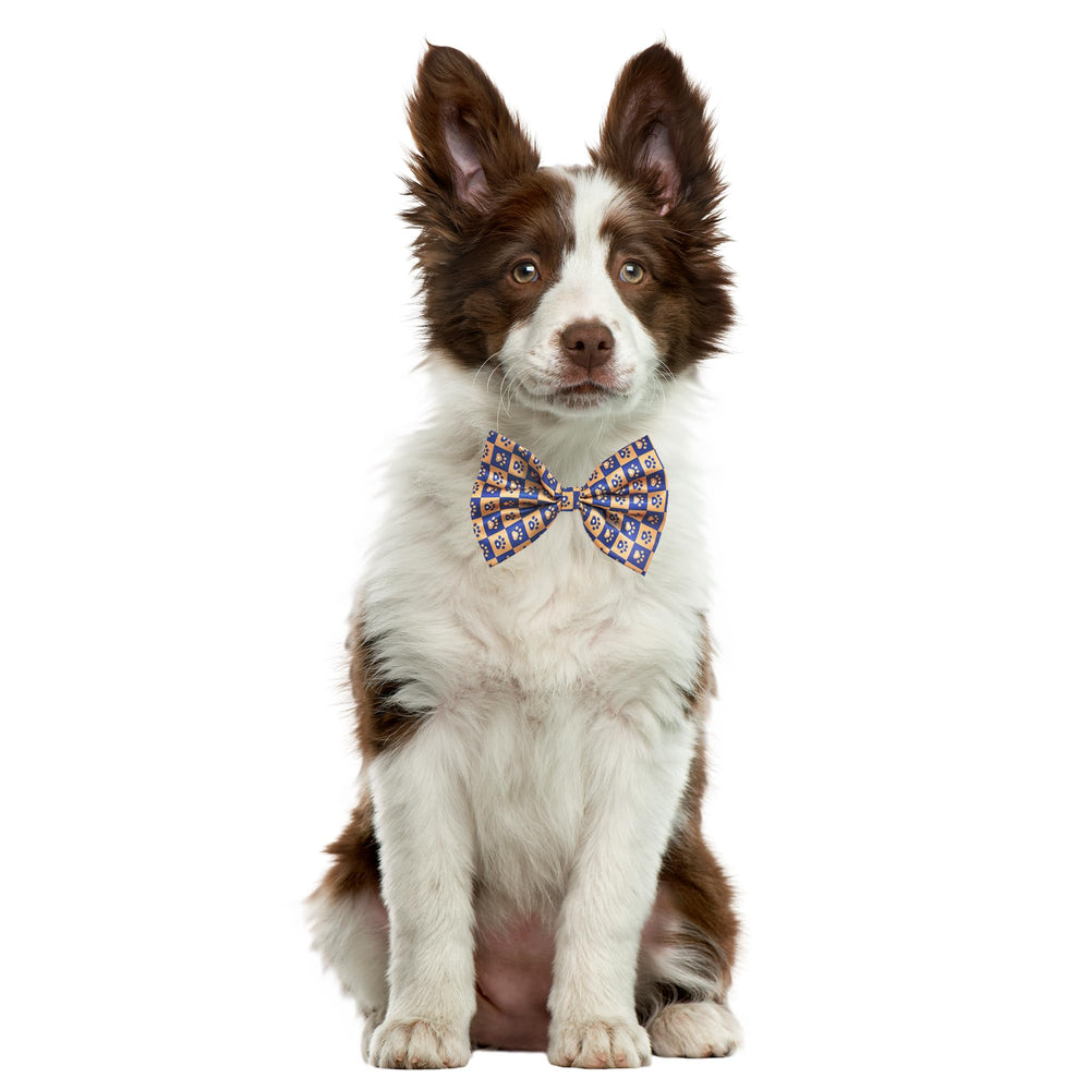 Pai Sence nœud papillon chien fête prêt à sublimer la tenue
