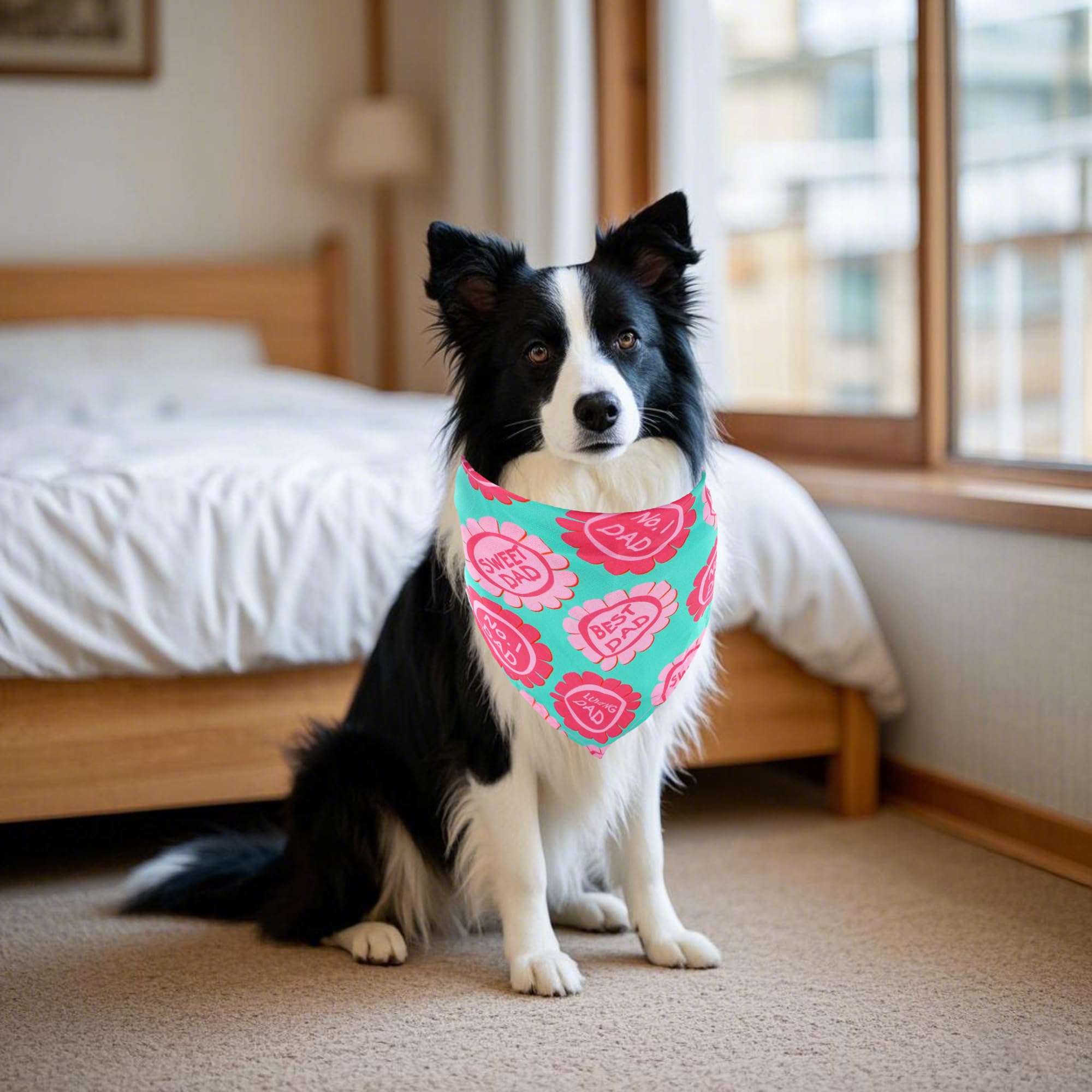 Paquet Pai Sence: 30 bandanas prêt à offrir comme cadeau.