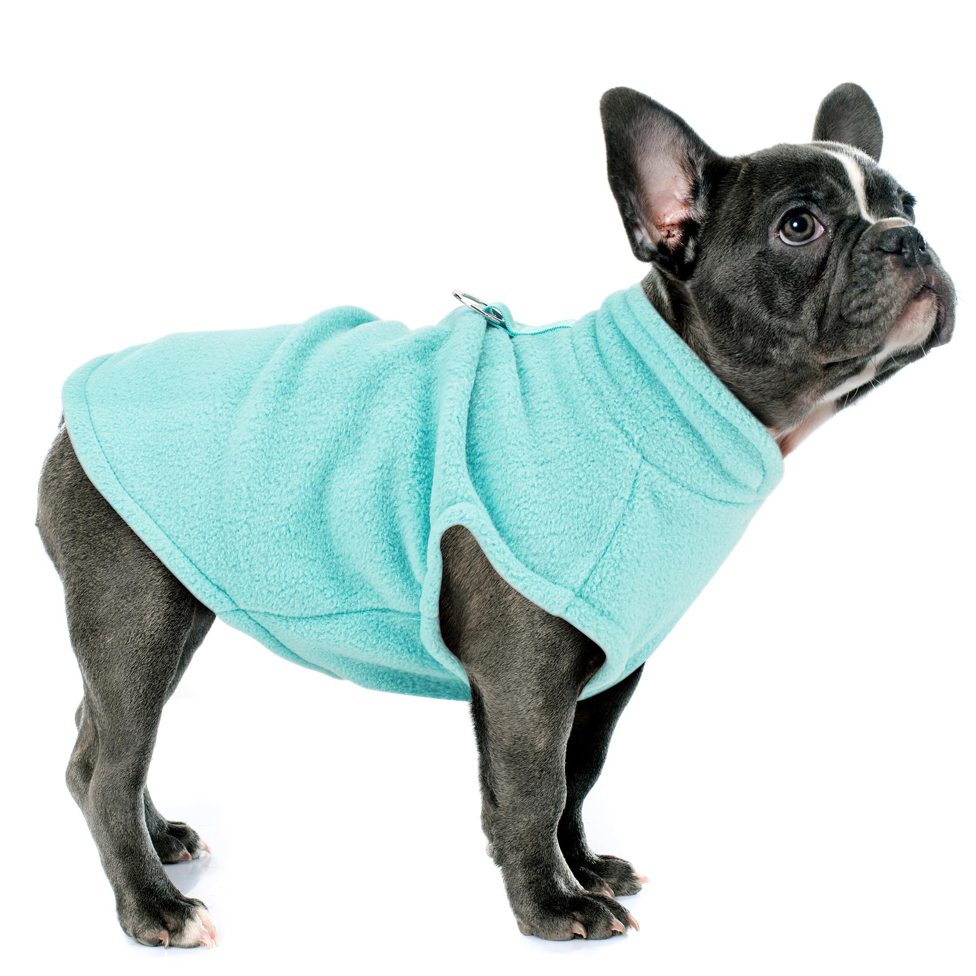 Paiaite gilet avec anneau-laisse intégré pour promenades en turquoise XS