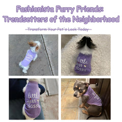 Chemise pour chien en coton respirant Paiaite, imprimé violet audacieux.