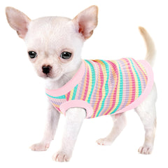 Paiaite-chemise-chien-petit-rose-ensemble: confort quotidien pour promenades et jeux.