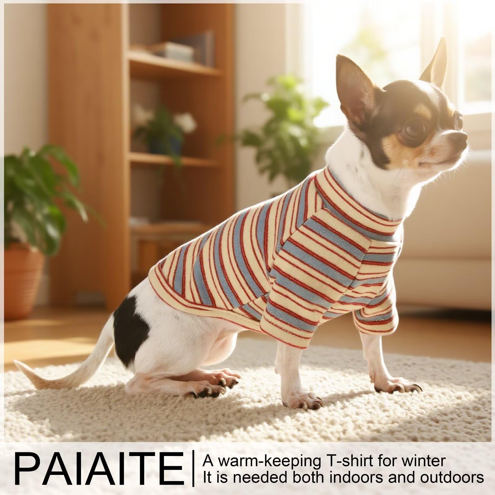 Paiaite chemise chien rayee - peut etre associee a collier ou noeud pour un look soigne.
