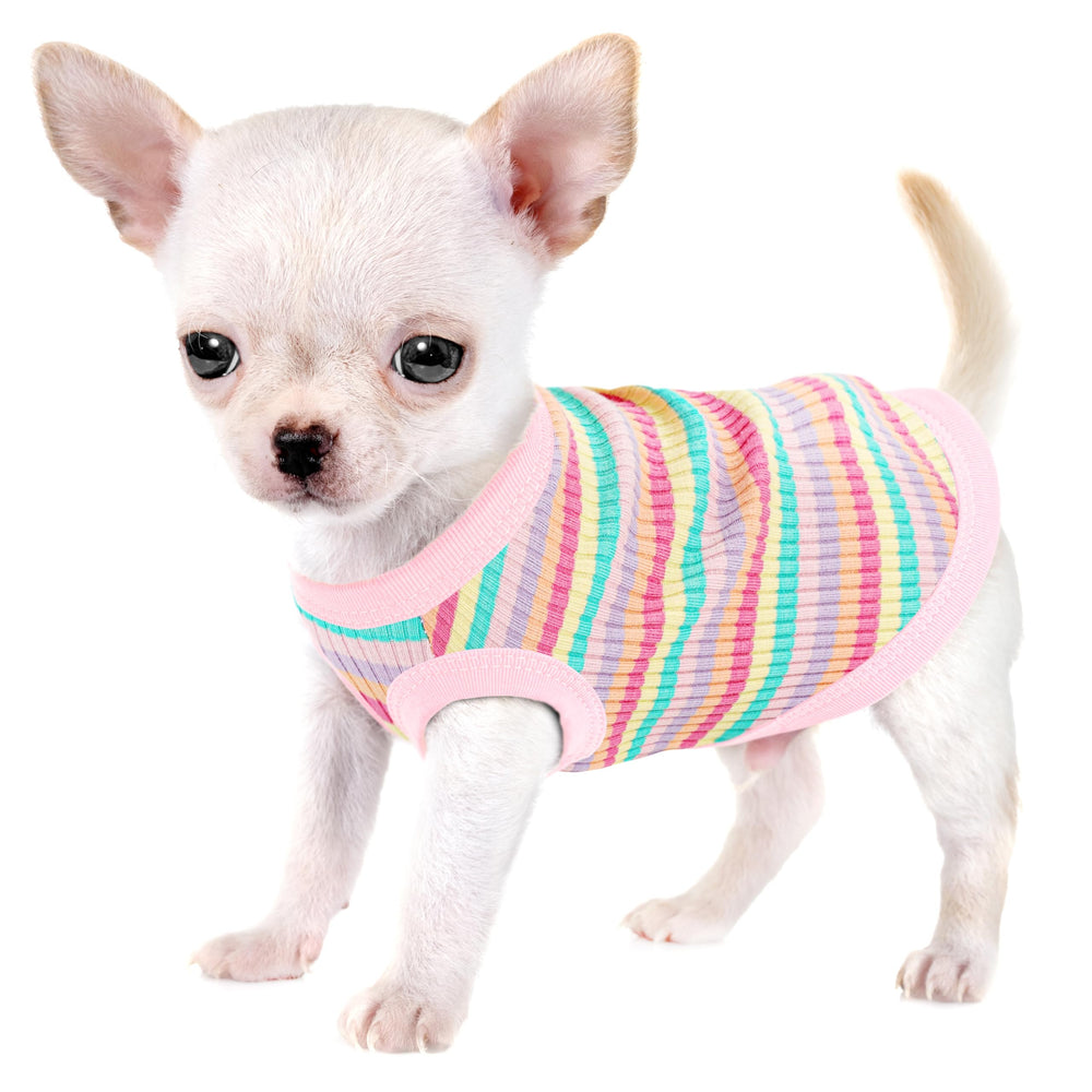 Paiaite chemise-gilet pour petit chien vue avant, confort assuré