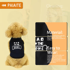Chien en balade avec Paiaite, veste légère et flexible.