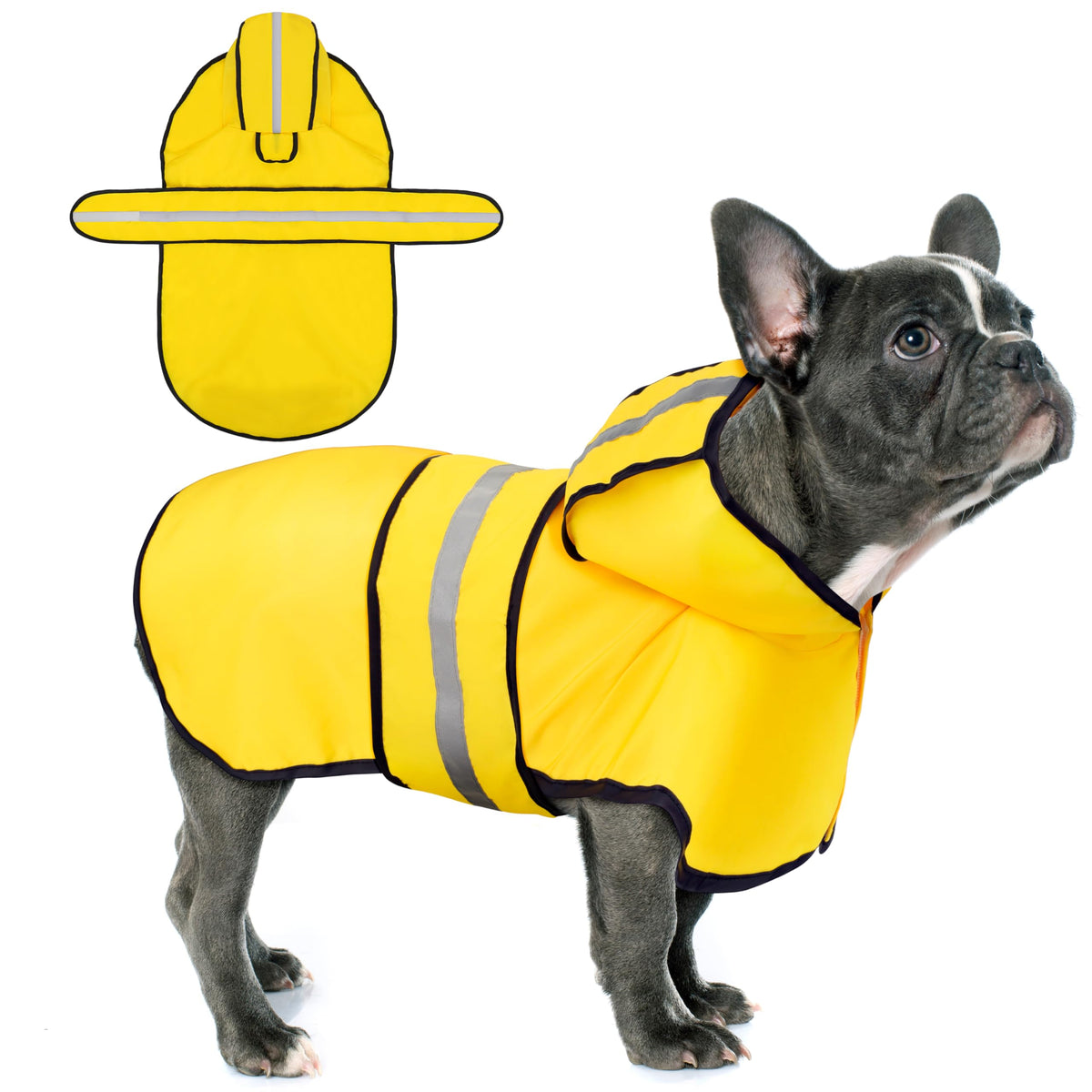 Paiaite imperméable pour chien avec capuche, protection pluie lors des promenades.
