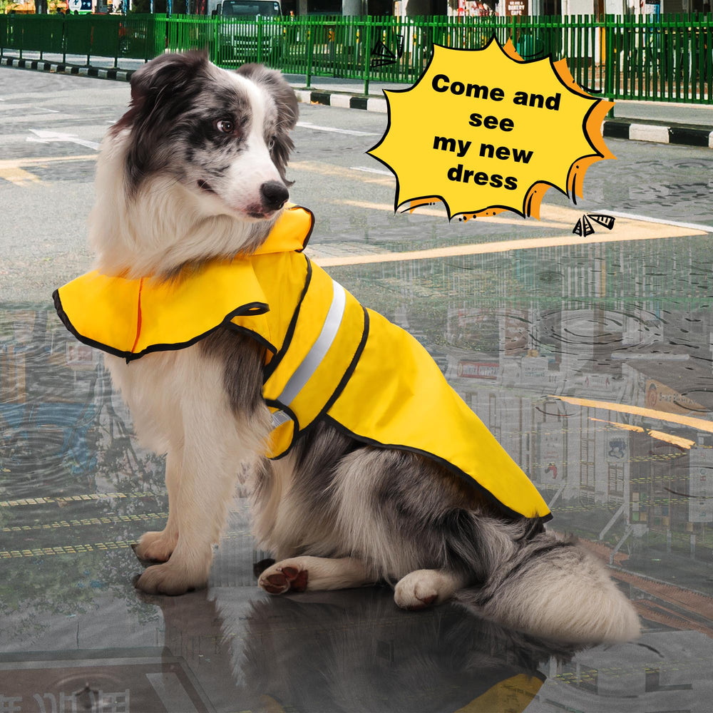 Paiaite chien imperméable lavage en machine: entretien facile après sortie boueuse.