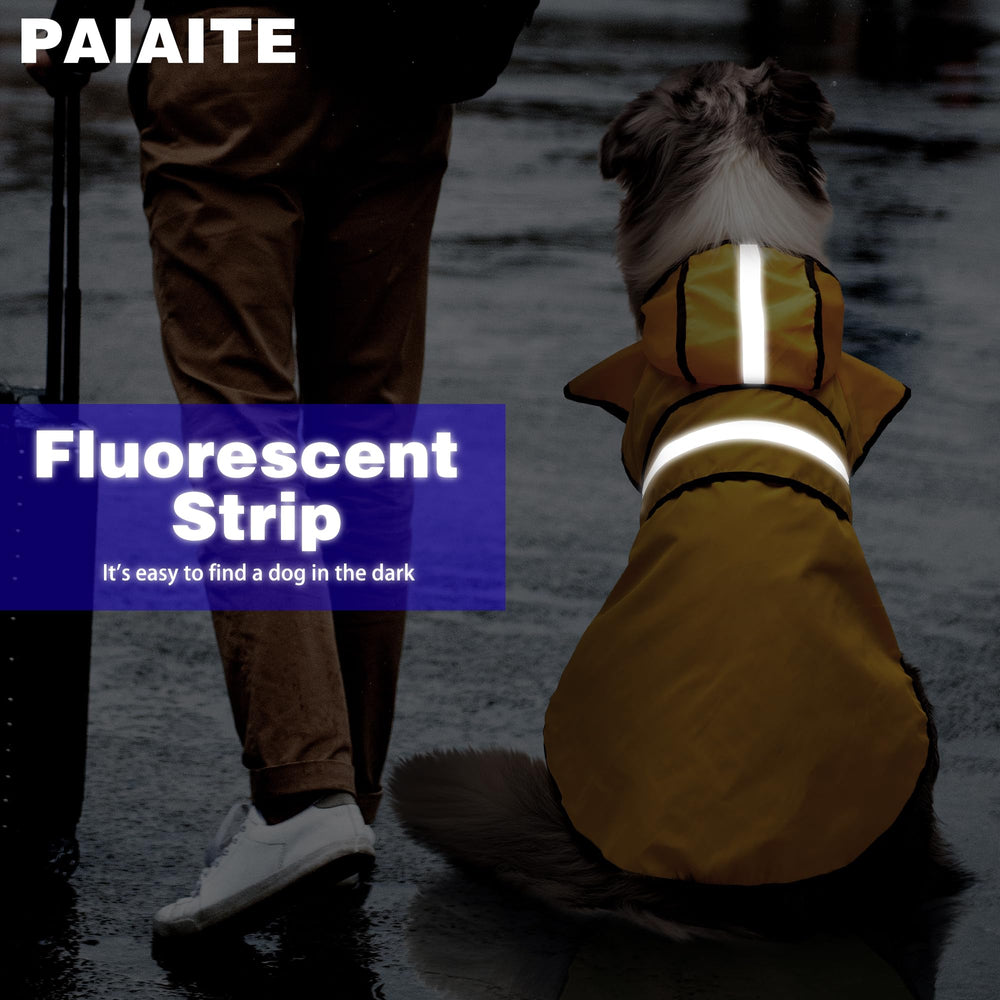 Ouverture pour laisse sur manteau Paiaite, promenade facile