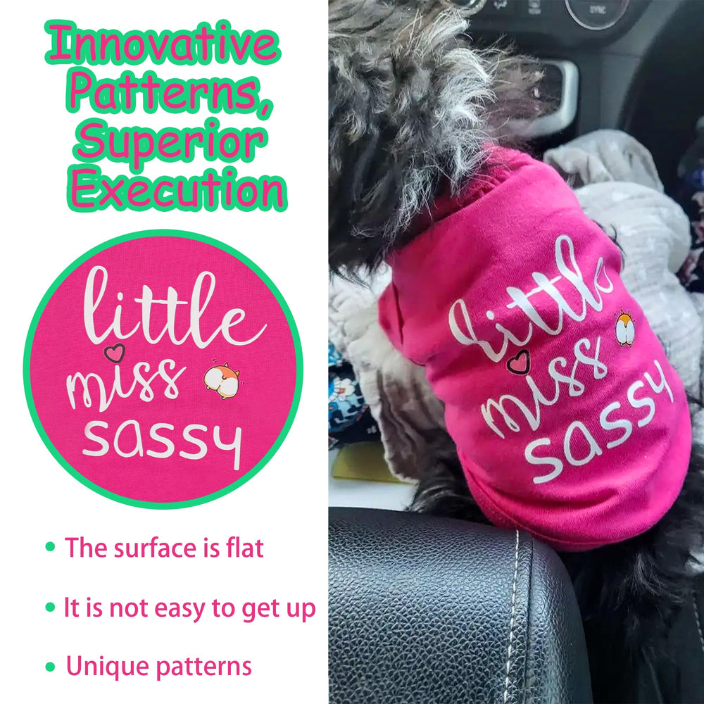 Paiaite lavage délicat, entretien simple en coton pour chien.