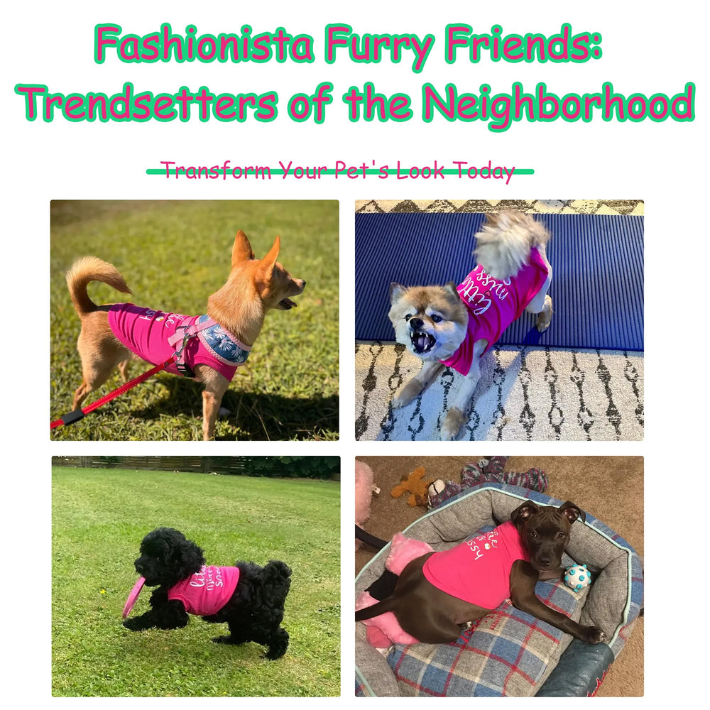 Paiaite veste activité extérieure pour chien, Little Miss Sassy, rose, parfaite pour sorties actives.