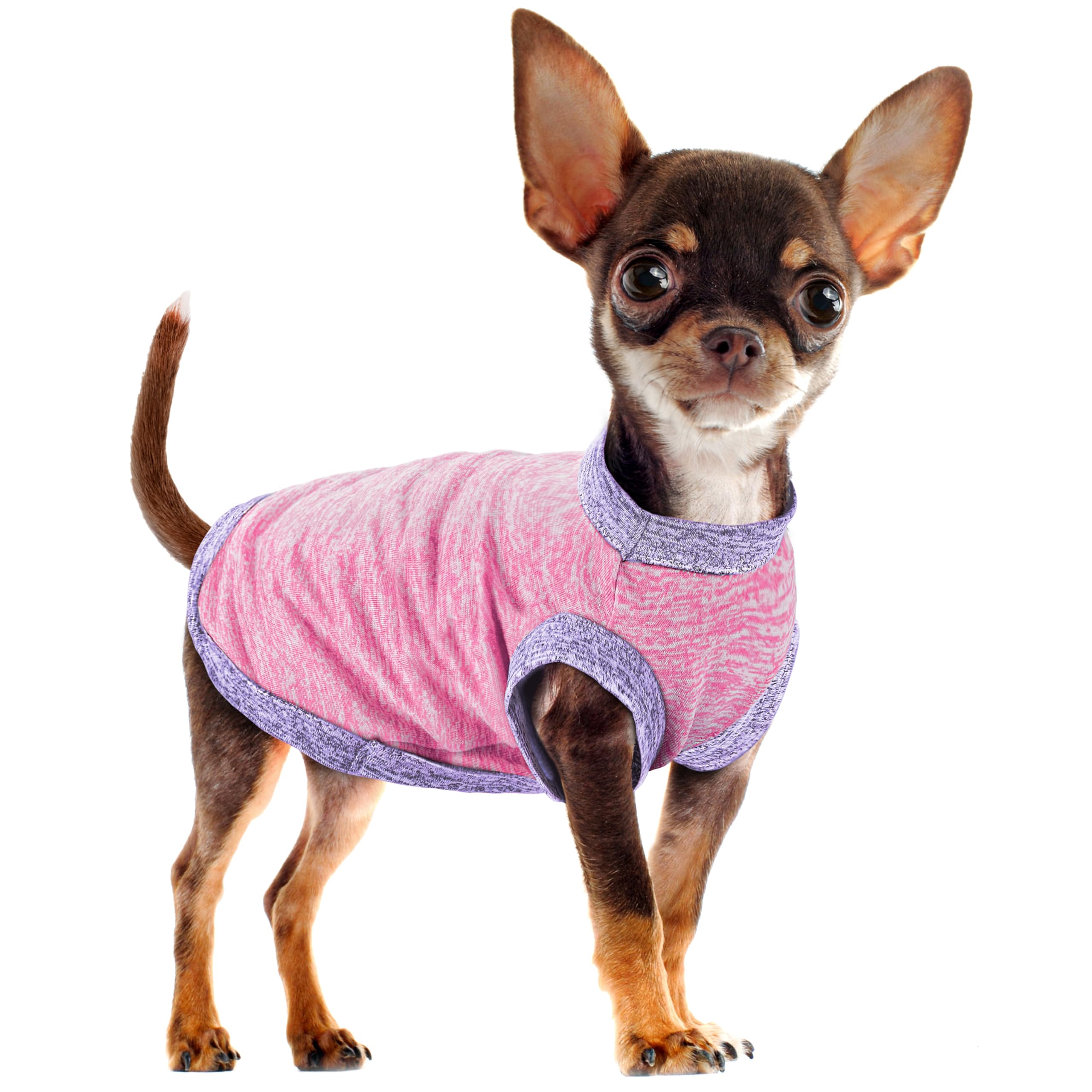 Paiaite gilet-chien polyester ion rose, respirant et confortable, prêt pour les balades quotidiennes.