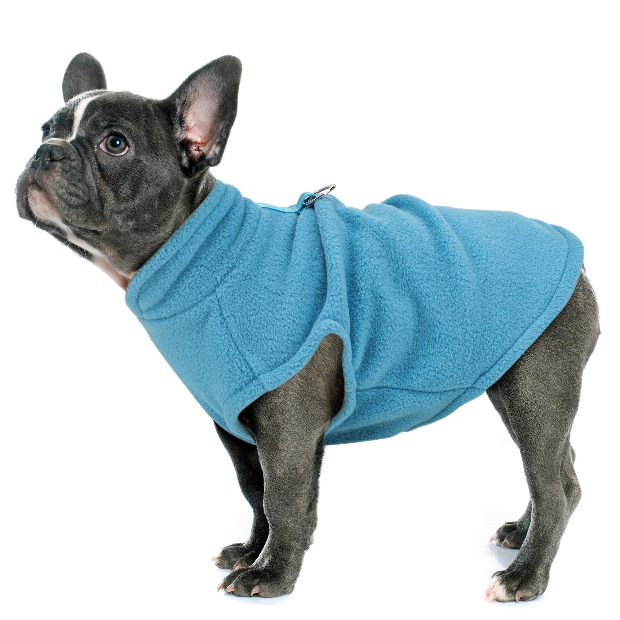 Paiaite gilet sans manches pour petit chien – vue arrière