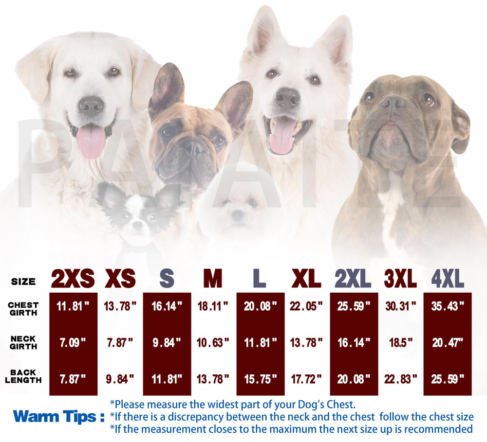 Guide-tailles Paiaite pour chien violet, ajustement facilité.