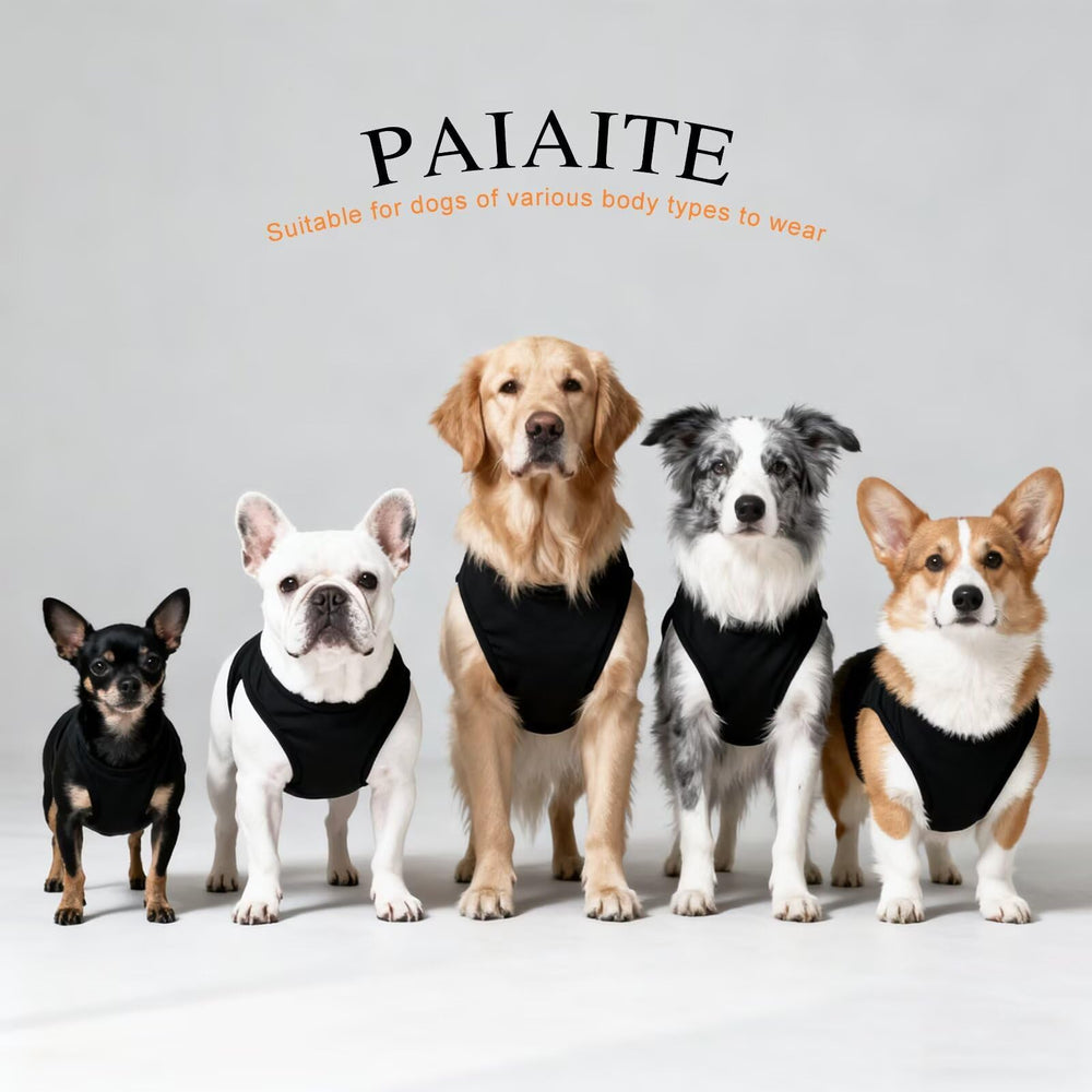 Haut noir Paiaite pour chien, coton doux et impression coeurs, look polyvalent.