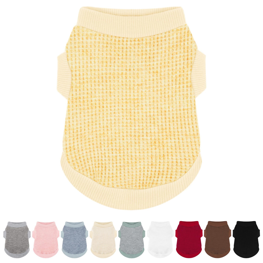 Paiaite haut pour chien petit gingembre – vue dos, confort durable.