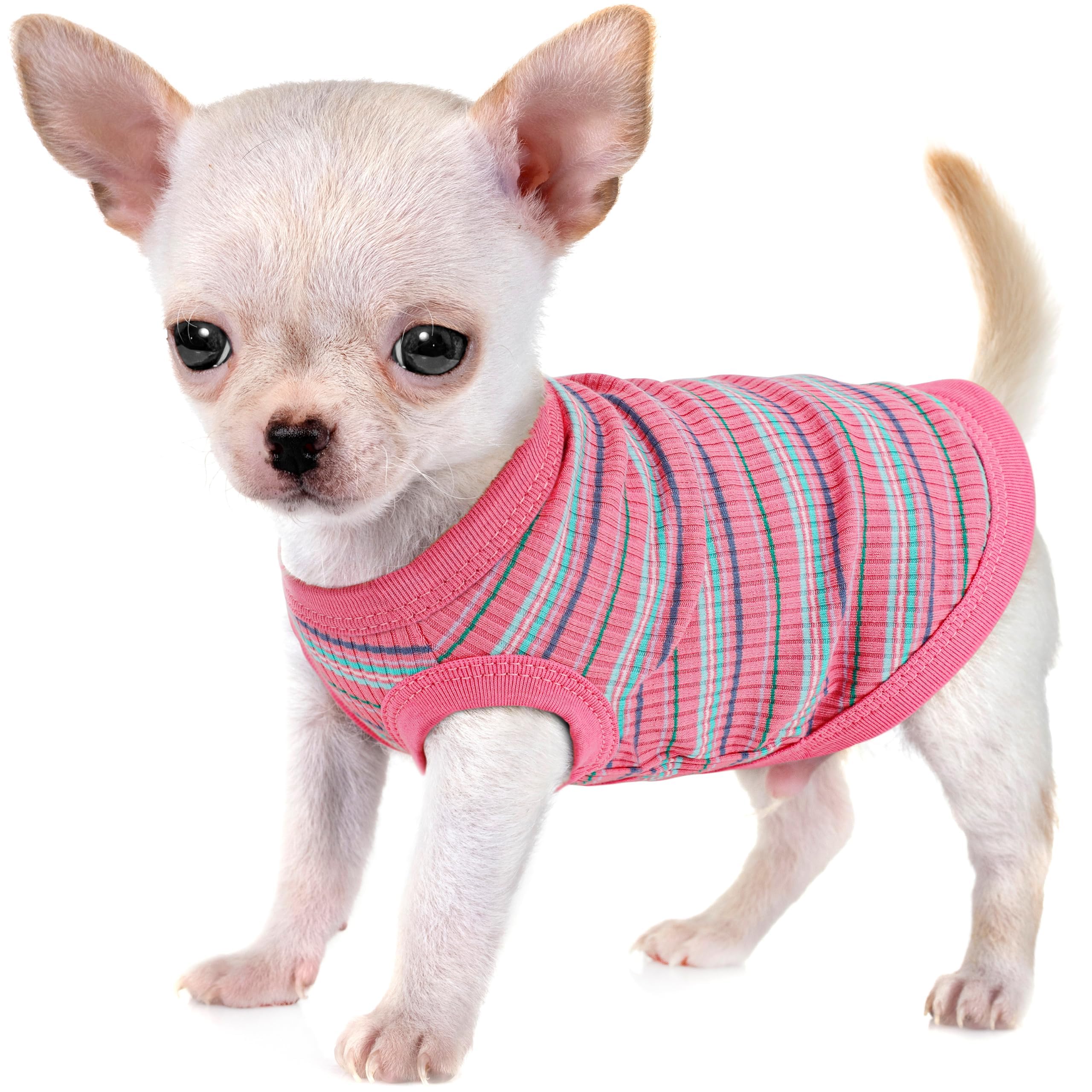 Paiaite haut-chien rose XS avant: confort leger pour petites races