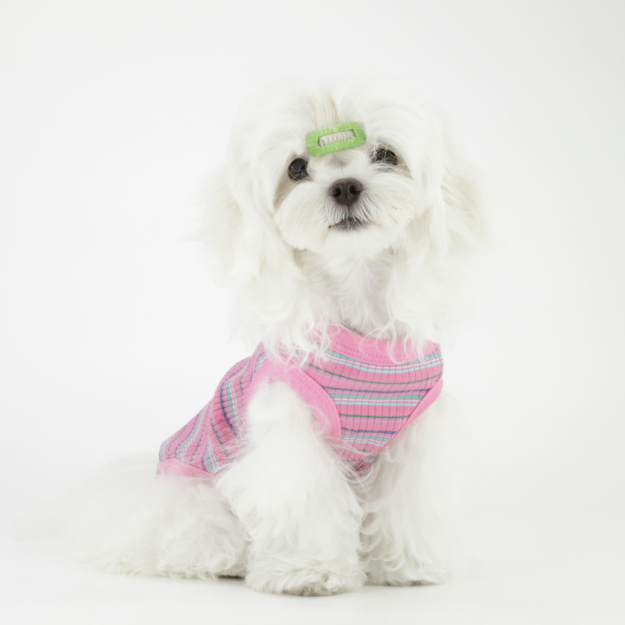 Paiaite haut-chien rose XS coupe légère: pour petits chiens