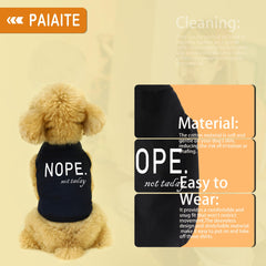 Paiaite zoom motif graphique coloré pour les promenades
