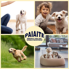 Paiaite pyjama chien onesie-absorption-humidite: reste sec et confortable quel que soit le climat.