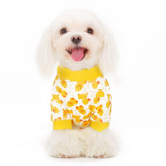Paiaite pyjama chien onesie polyester confort doux pour les siestes.