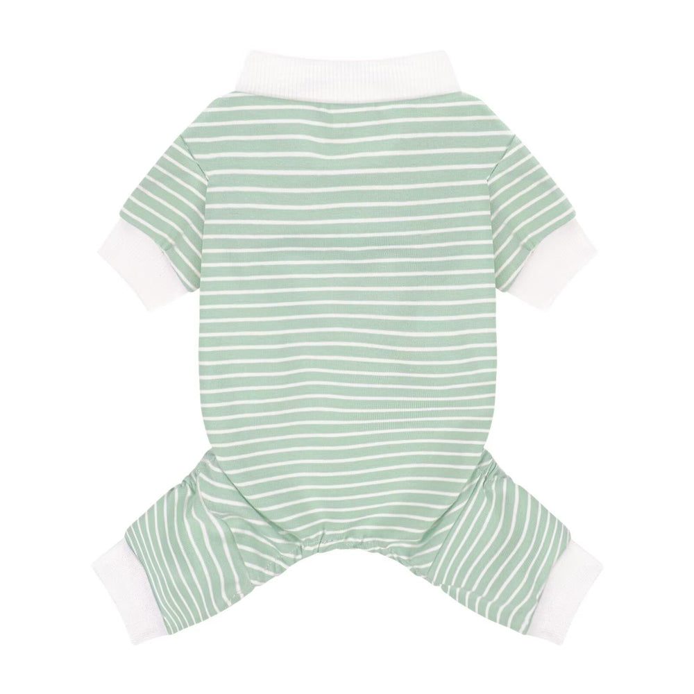 Pyjama Paiaite rayures vertes pour chien, douceur et chaleur légère.