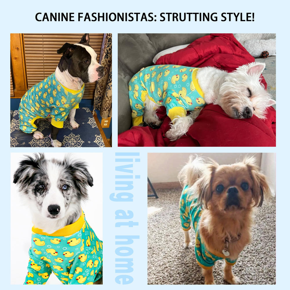 Paiaite Pyjama Chien Résistance Plis: entretien simple après lavage