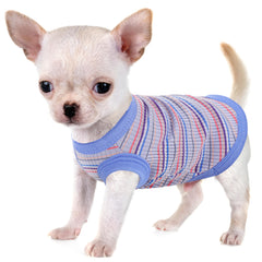 Paiaite t-shirt chien bleu XX-Small, vue frontale et design sans manches.