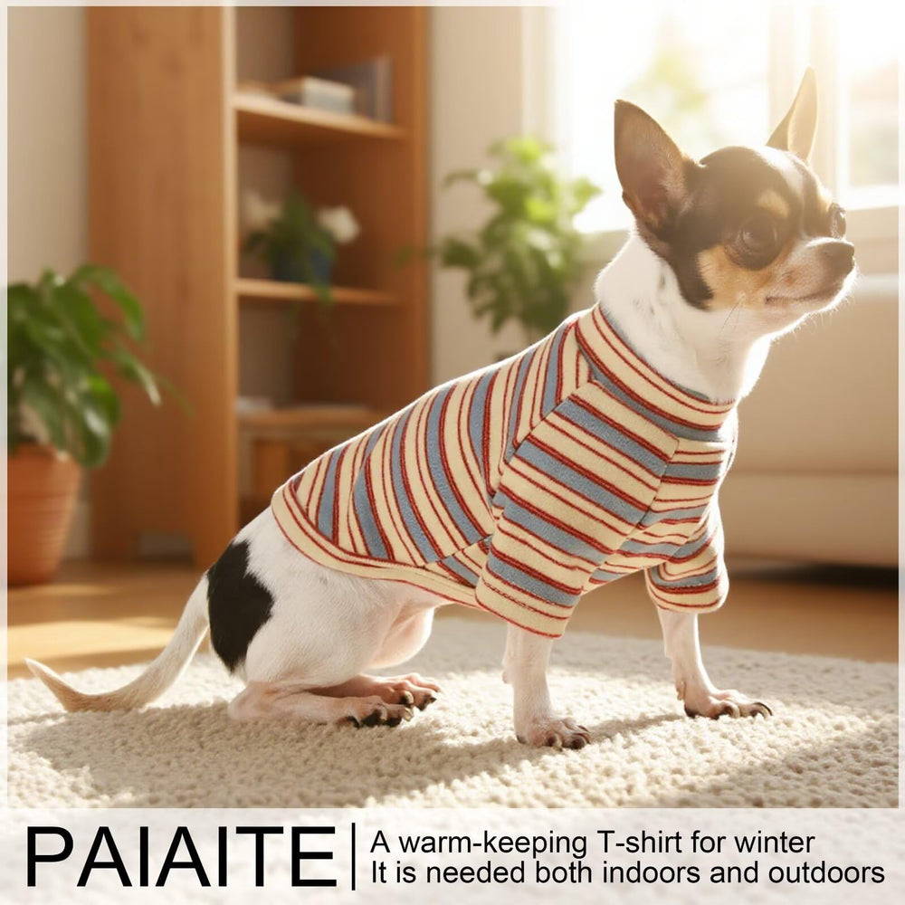 Paiaite tailles chiens grands : version adaptée pour grands chiens.