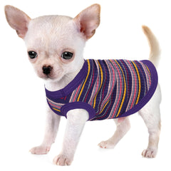 Paiaite veste-chien coton rib violet XS — confort doux pour petites races