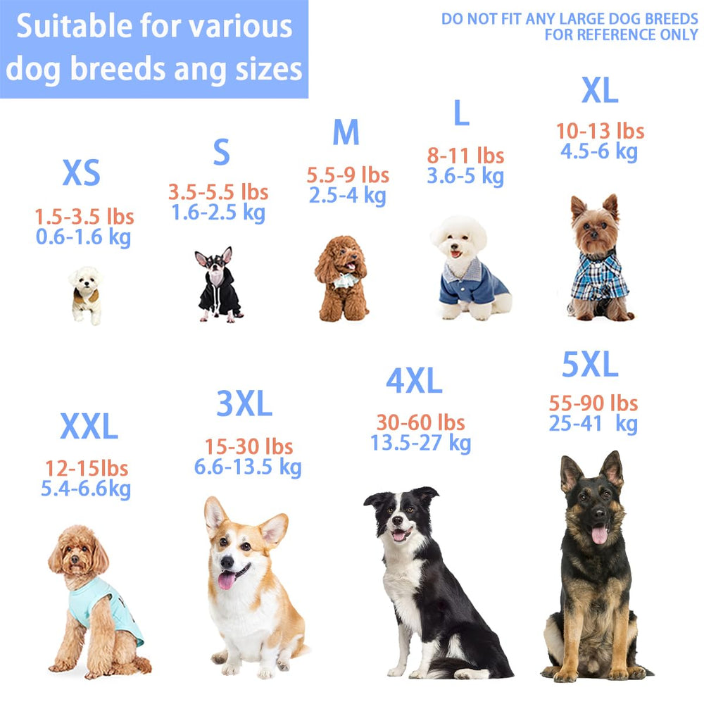 Paiaite veste enfiflage facile chien, pratique lors des sorties.