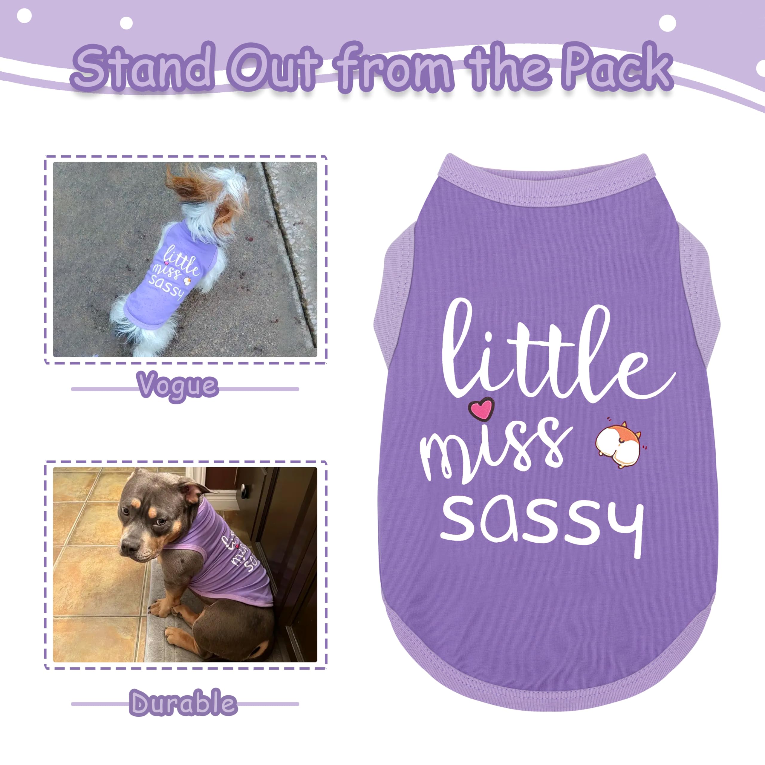Vêtement Paiaite pour chien en coton doux, imprimé violet, facile à enfiler.