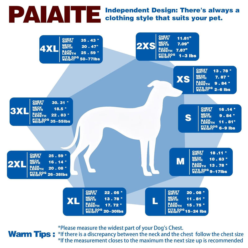 Paiaite vêtements rayés pour chien, couleur vive et tendance.