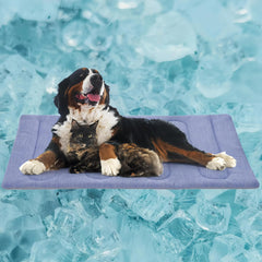 PAIGTEK tapis-refroidissant-chien-gros rectangle 44x32 – rafraîchissement durable pour les longues siestes